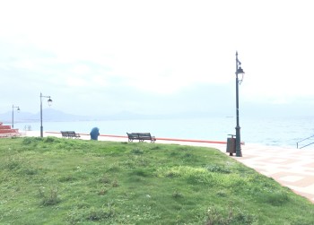 28.VIEW IN FRONT OF THE HOUSE